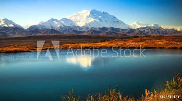 Picture of Denali Sunshine